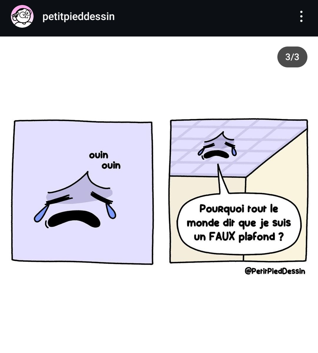Transplafond - meme