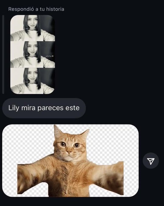 parecido razonable de selfie - meme
