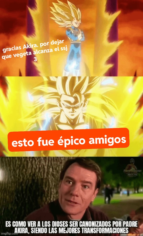 Vegeta SS3 estuvo bastante bueno - meme