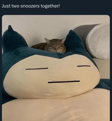Just two sleepy dudes chilling - meme