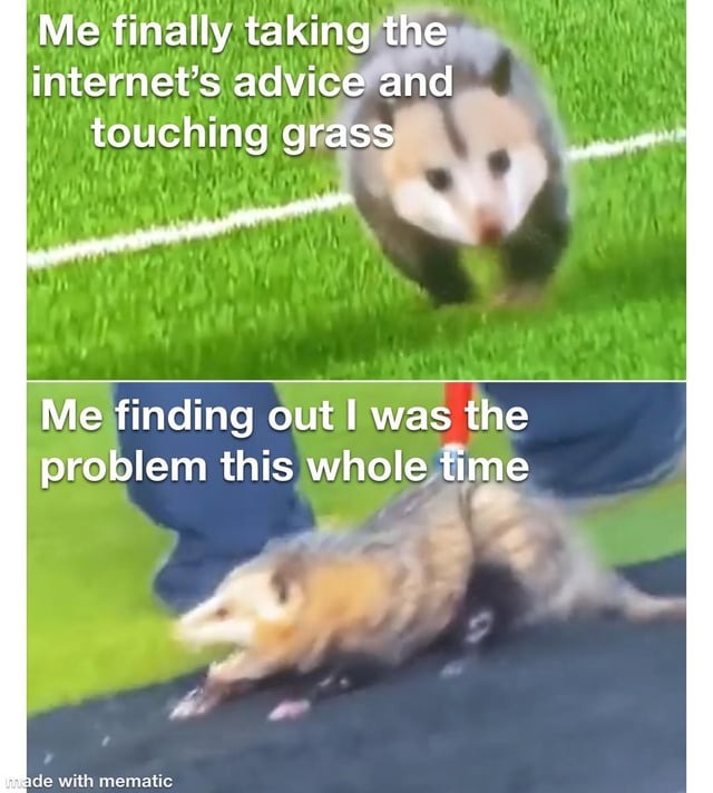 Internet's advice - meme