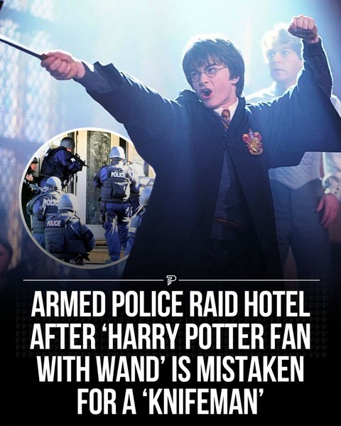 Armed police rushed to a hotel after reports of a man with a “large knife,” only to discover he was a Harry Potter fan with a wand. - meme