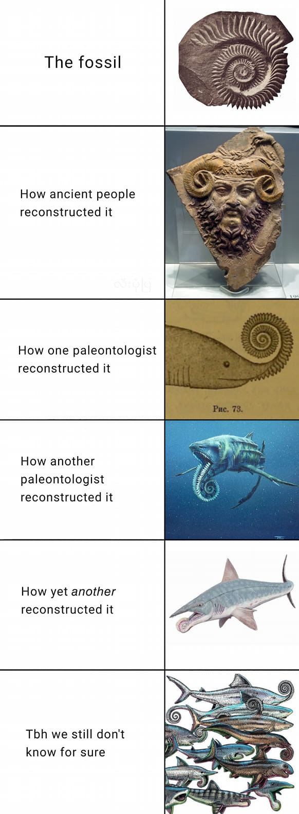 Justice for my boy Helicoprion - meme