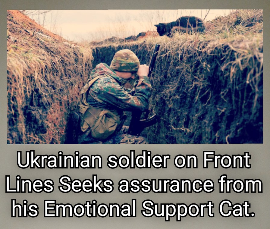 War Going Poorly Against Soviets - meme
