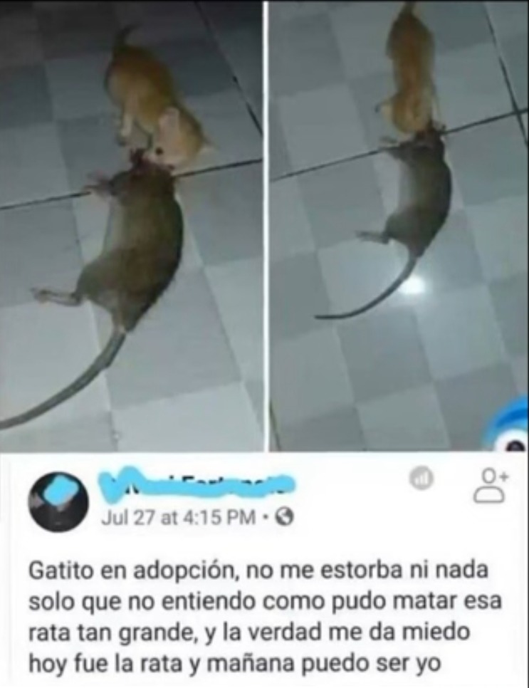 - - meme