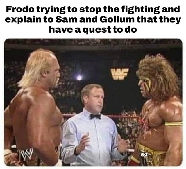 Frodo’s the only one taking the quest seriously - meme