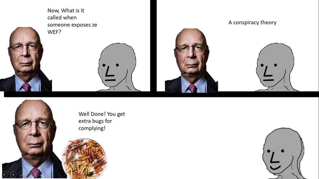 dongs in an economic forum - meme