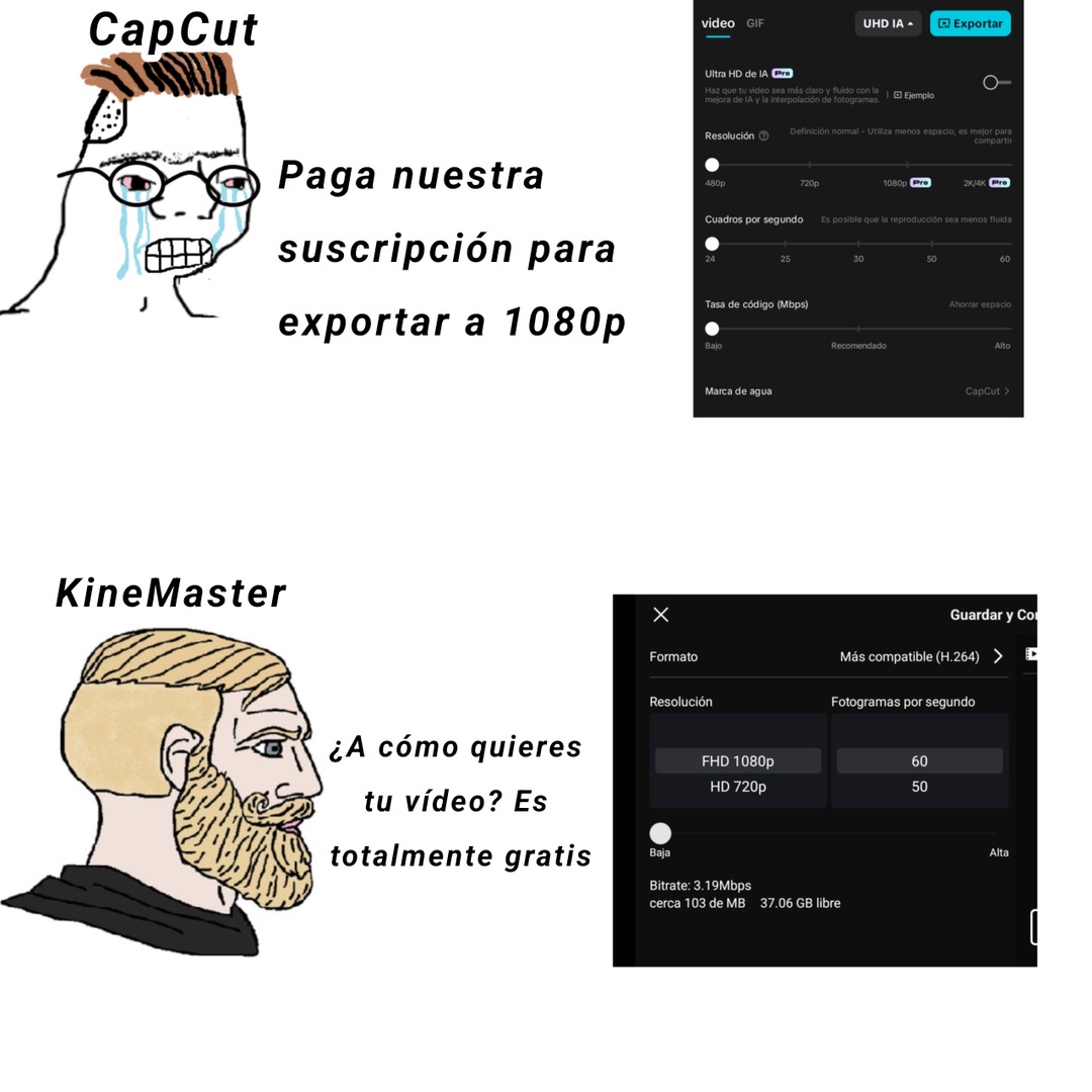 Te perdono KineMaster - meme