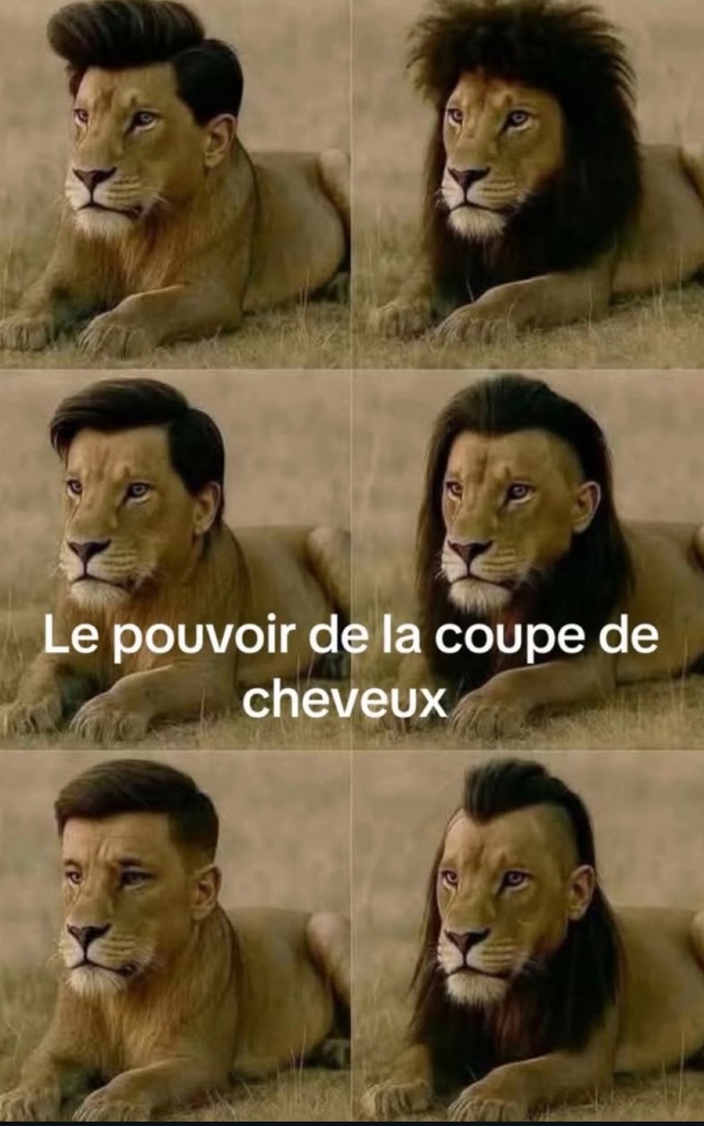 le pouvoir mystique d'une bonne coupe de cheveux - meme