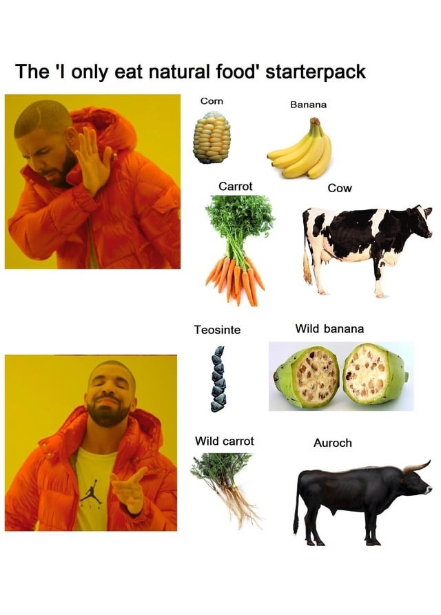 Only eat natural food bro? Here’s your prehistoric banana - meme