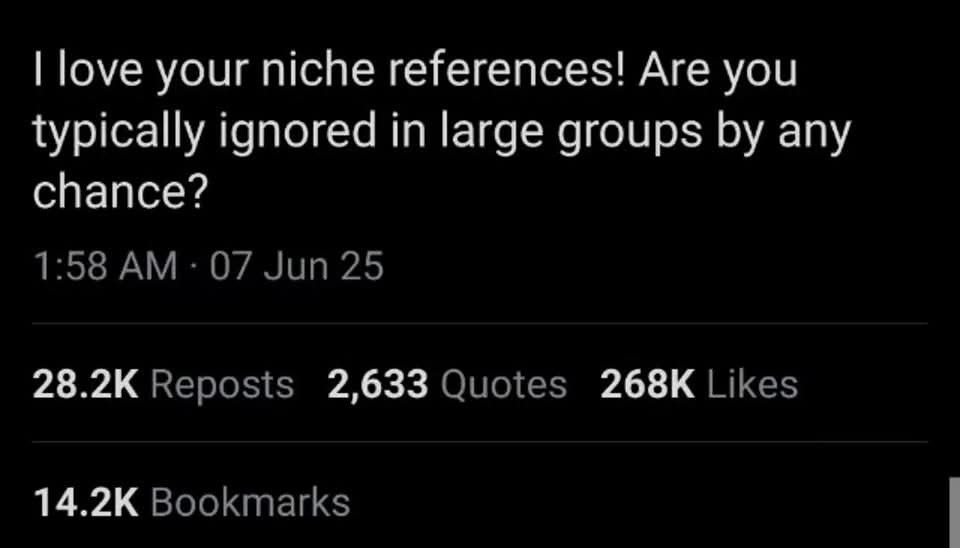 You love niche jokes and also never get picked in group convos huh - meme