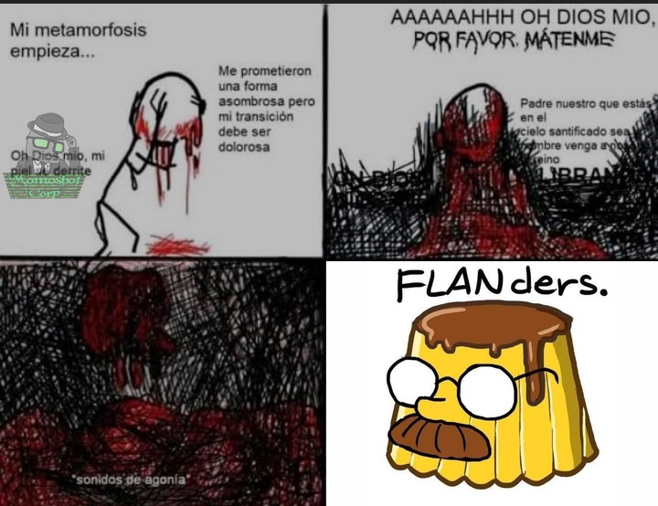 Flanders - meme