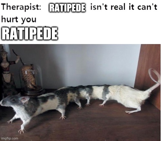 Cursed rats - meme