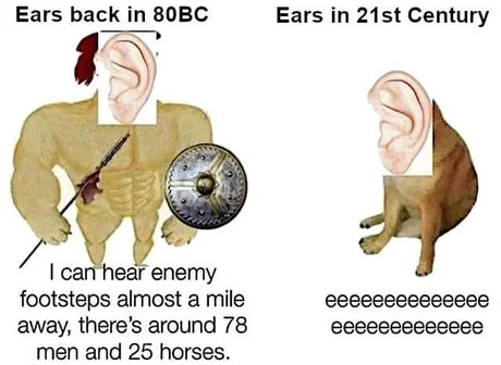 Ears - meme