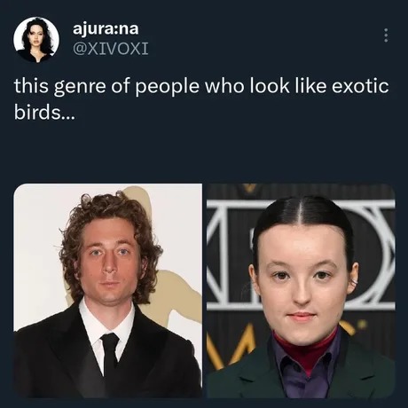 Exotic birds actors - meme