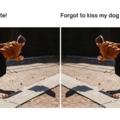 NEED TO KISS DOGE