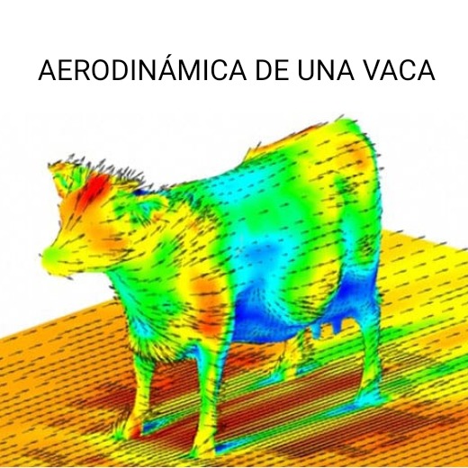 Aéreo dinámica de una vaca - meme