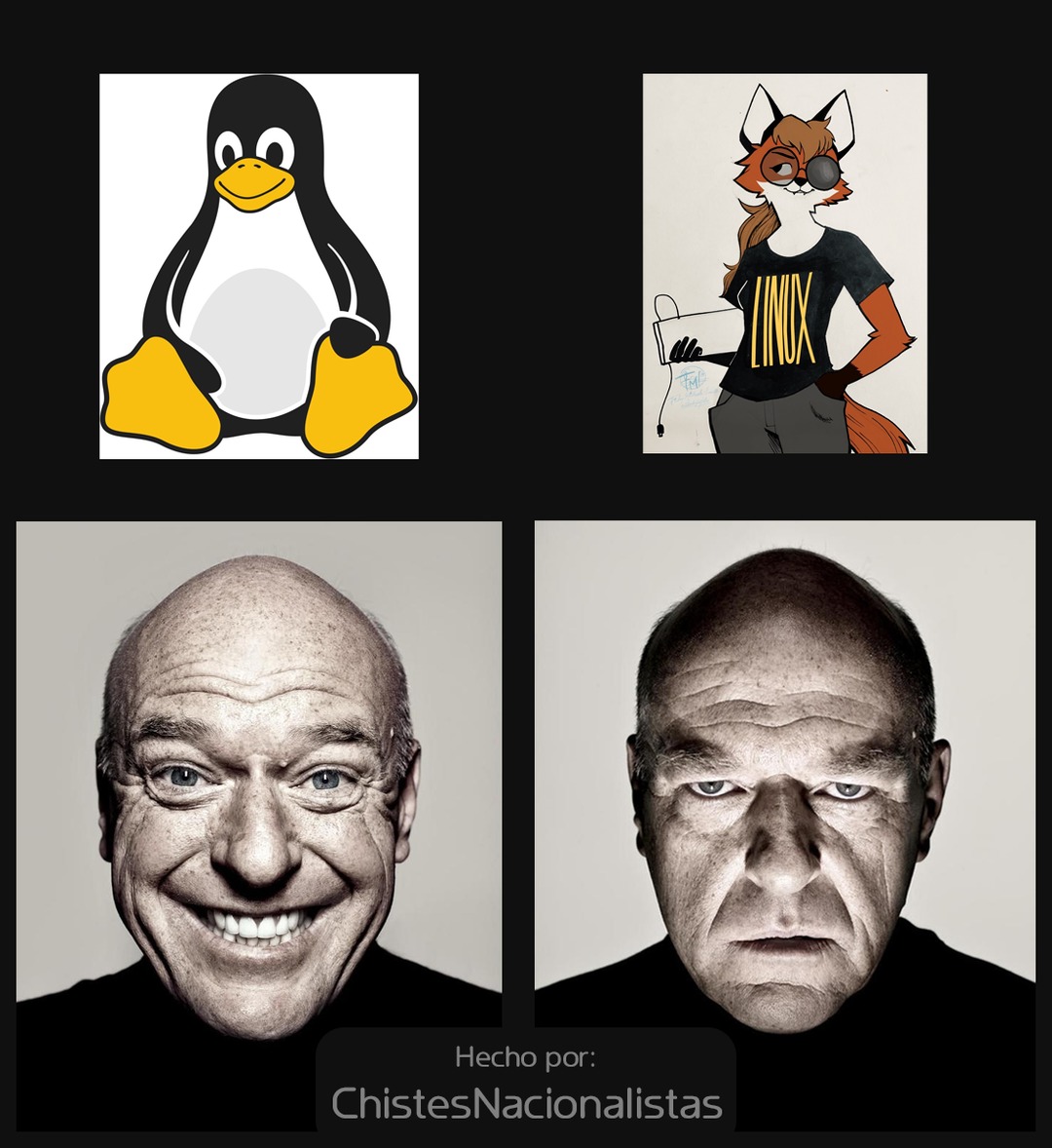 Mascotas de GNU/Linux (Contexto en los comentarios.) - meme