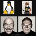 Mascotas de GNU/Linux (Contexto en los comentarios.)