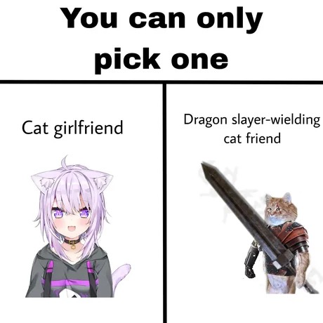 Easy choice. Dragon slayer cat friend is by far the best - meme