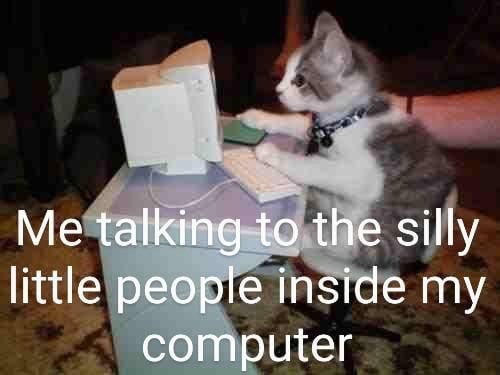 Computer cat meme
