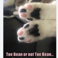Toe bean