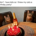 Cats birthday party