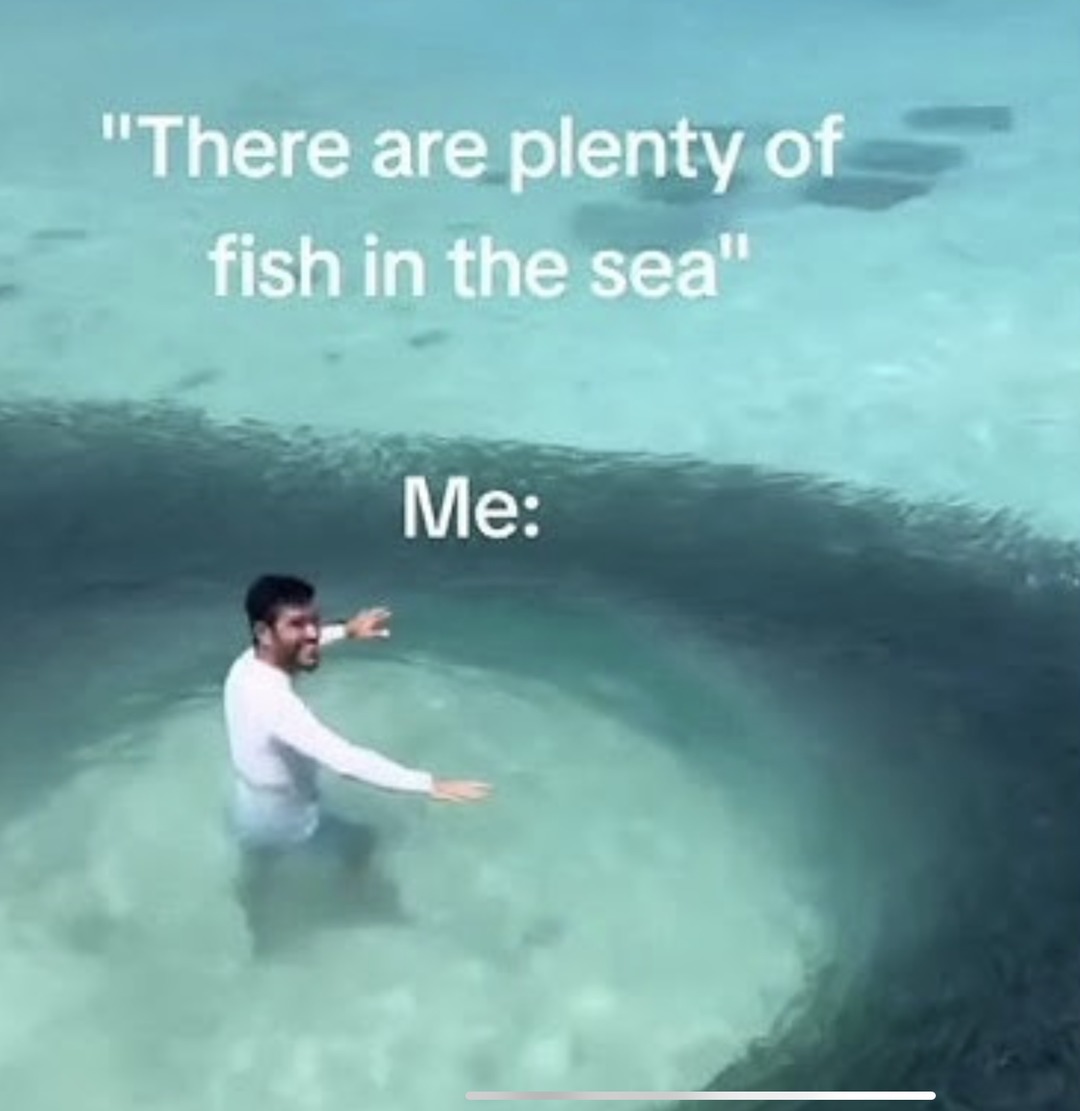 There are plenty of fish on the sea - meme