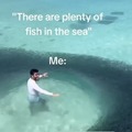 There are plenty of fish on the sea
