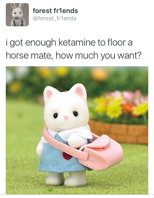 Mate got enough ketamine to knock out a horse, what you need? - meme
