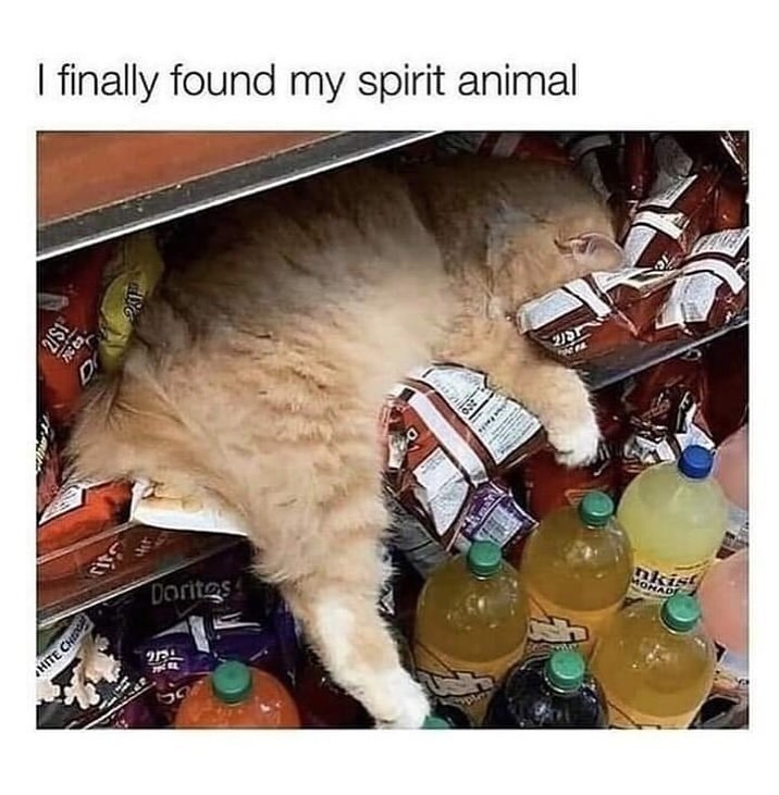 Finally found my spirit animal burrito - meme