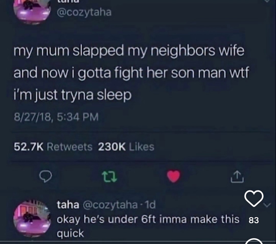 Mom slapped neighbor, now I gotta fight his kid - meme