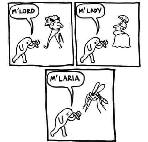 Malaria - meme