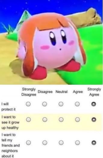 Kirby Gets a Survey - meme