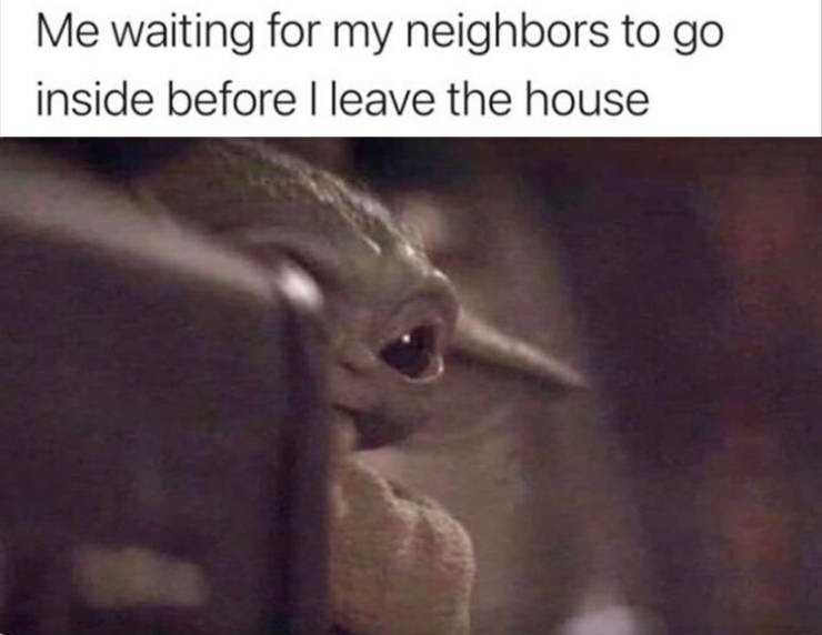 Nice neighbor - meme