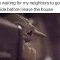 Nice neighbor