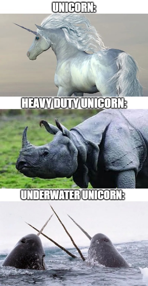 Types of Unicorn - meme