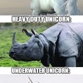 Types of Unicorn