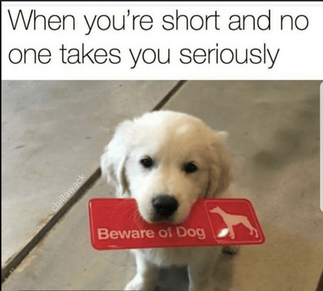 Unlucky doggy - meme