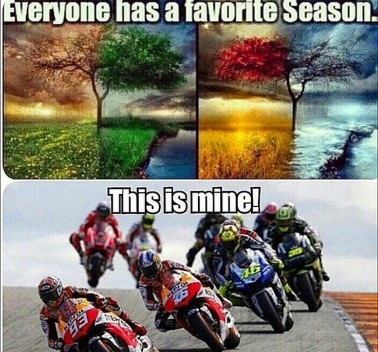 My favorite Season - meme