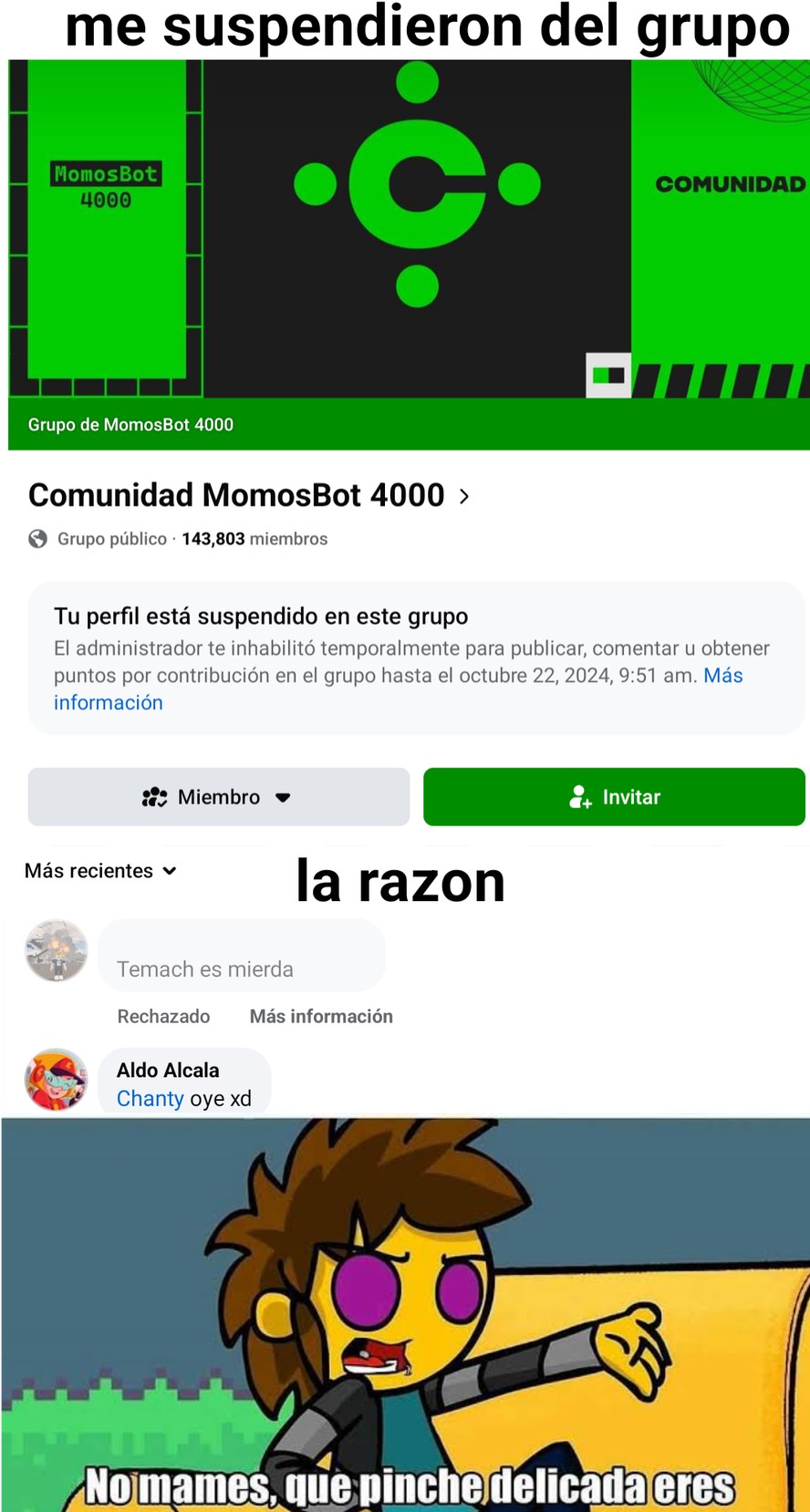El admin de la Comunidad MomosBot 4000 es temachero - meme