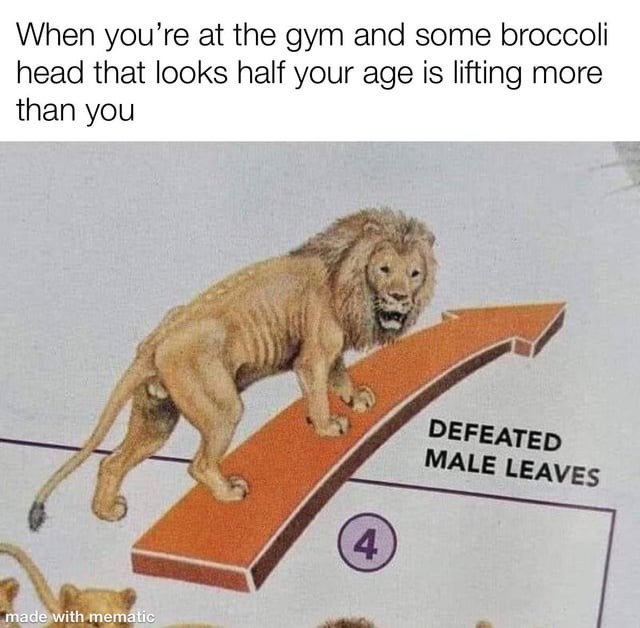 Defeated male leaves - meme
