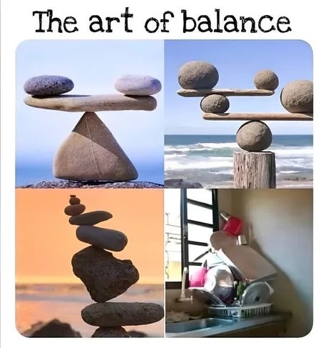 The art of balance - meme