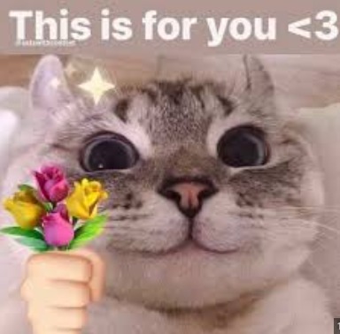 Cute cats!! <33 - meme
