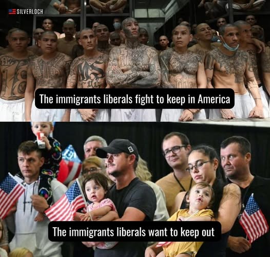 Finally real huddled mass, not a panicked scheme to increase voters - meme