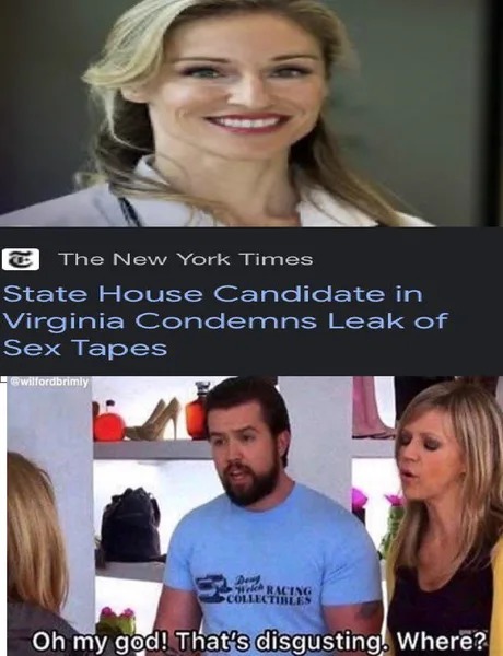 State House Candidate in Virginia leak of sex tapes - meme