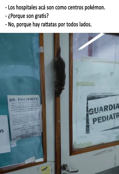 Feliz día del medico momo - meme