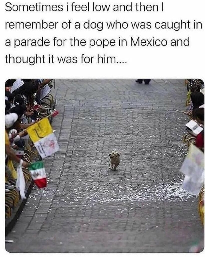 A classic but it warms my heart - meme