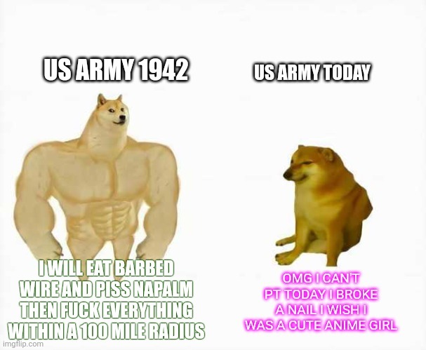 US Army feels like - meme