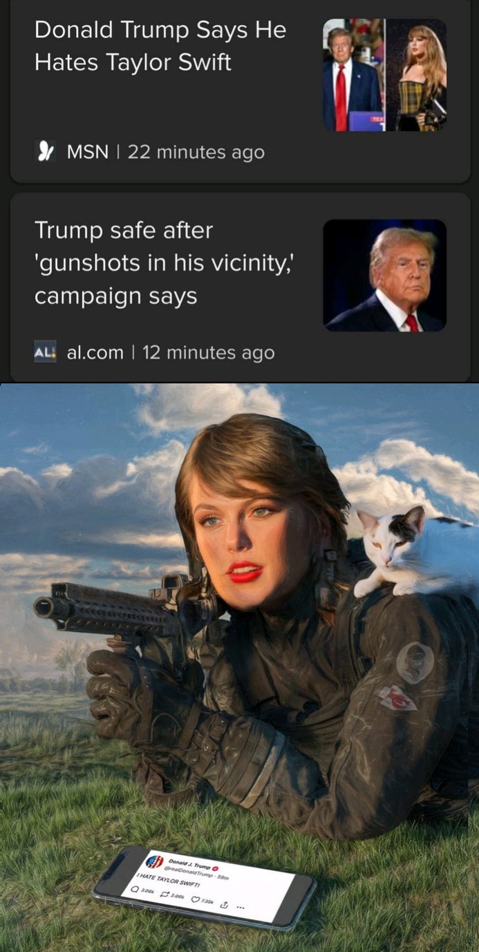 This is a title - meme